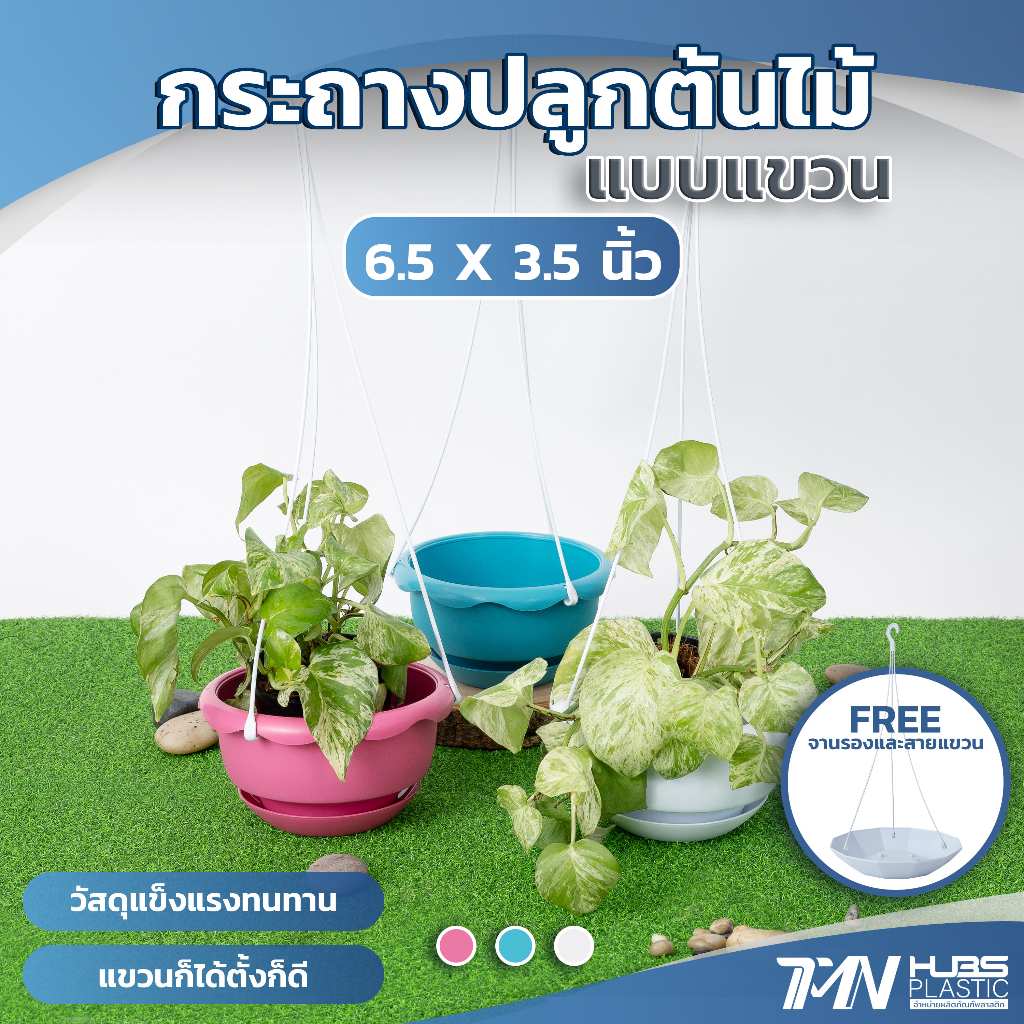 กระถางต้นไม้พลาสติกแบบแขวน พร้อมจานรอง มี 3 สี ขนาด  6.5 นิ้ว ราคาโรงงาน กระถาง กระถางต้นไม้