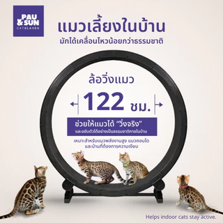 Pau & Sun ล้อวิ่งแมว 122 ซม. Premium Cat Wheel ลู่วิ่งแมว อุปกรณ์ออกกำลังกายแมว เงียบ มั่นคง สำหรับบ้านและคอนโด