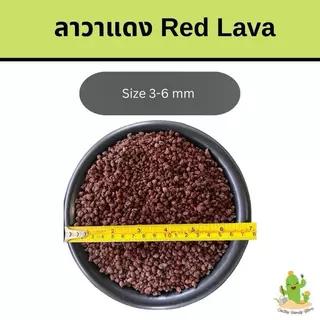 ✅ส่งฟรี หินลาวาดำ หินลาวาแดง (Volcanic rock)
