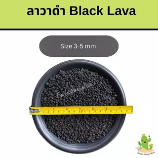 ✅ส่งฟรี หินลาวาดำ หินลาวาแดง (Volcanic rock)