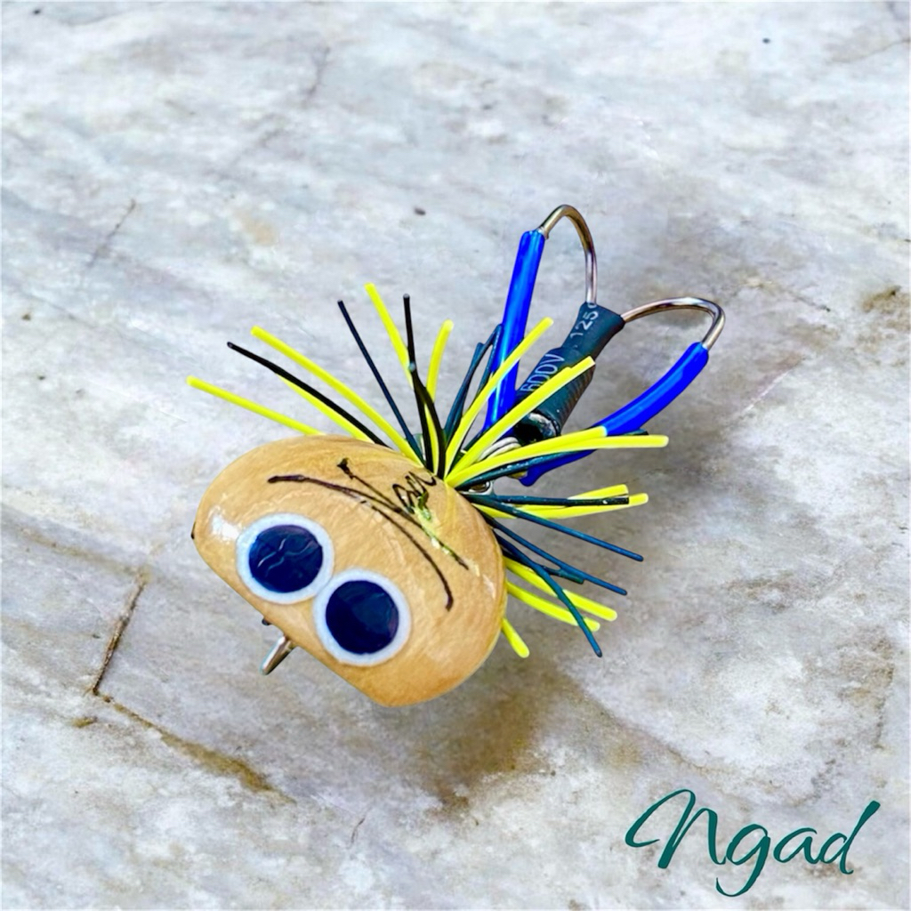 กบกระโดดจิ๋ว Ngad 2.5เซน2026 ค่ายกบเกษม