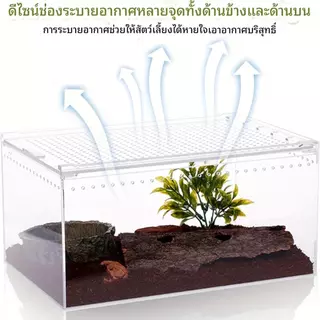 กล่องเลี้ยงสัตว์เลื้อยคลาน วัสดุอะคริลิก ตู้สัตว์เลี้ยง การสังเกตที่โปร่งใส 360องศา