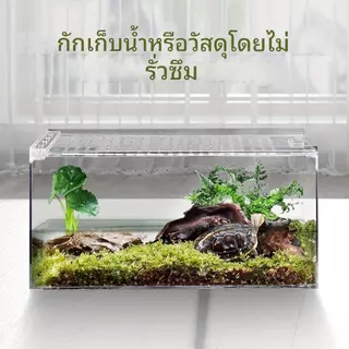 กล่องเลี้ยงสัตว์เลื้อยคลาน วัสดุอะคริลิก ตู้สัตว์เลี้ยง การสังเกตที่โปร่งใส 360องศา