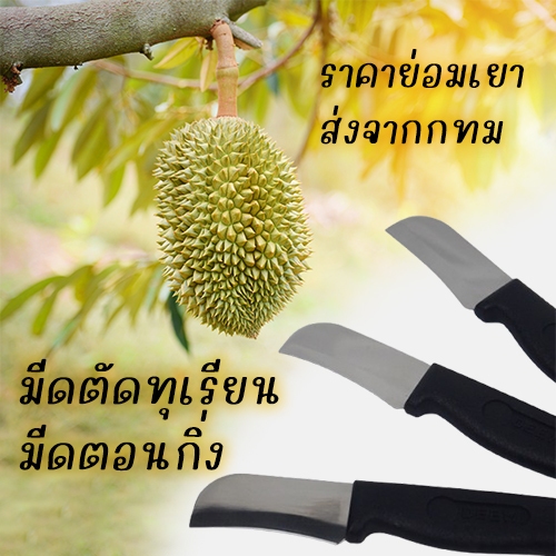 มีดตัดทุเรียน มีดตอนกิ่ง