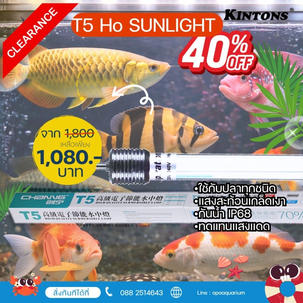 T5 Ho Channing หลอดไฟแทนนิ่ง หลอดไฟสำหรับปลาหัวทอง
