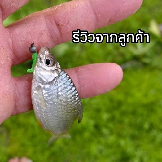 Thumbnail 6