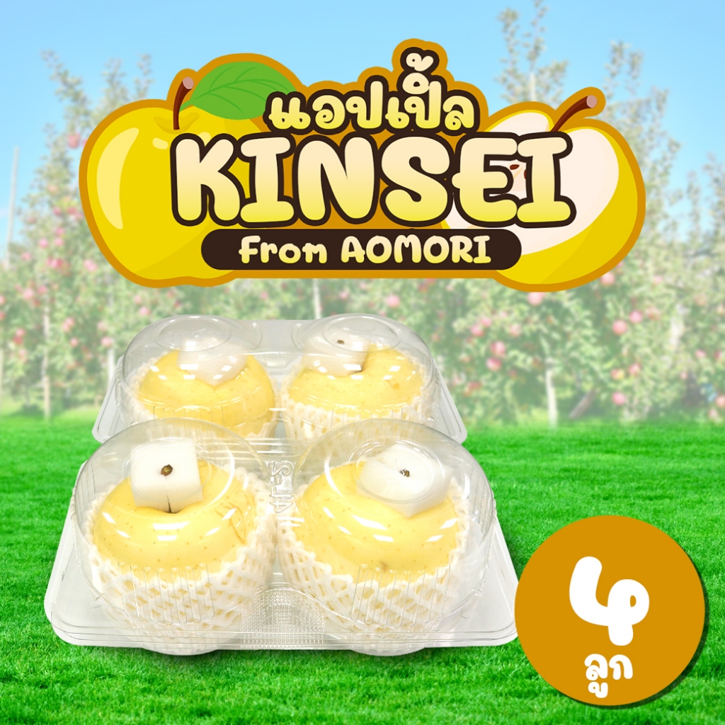 [แพ็คใส 4 ลูก] แอปเปิลคินเซ จากเมืองอาโอโมริ - Kinsei Apple from Aomori