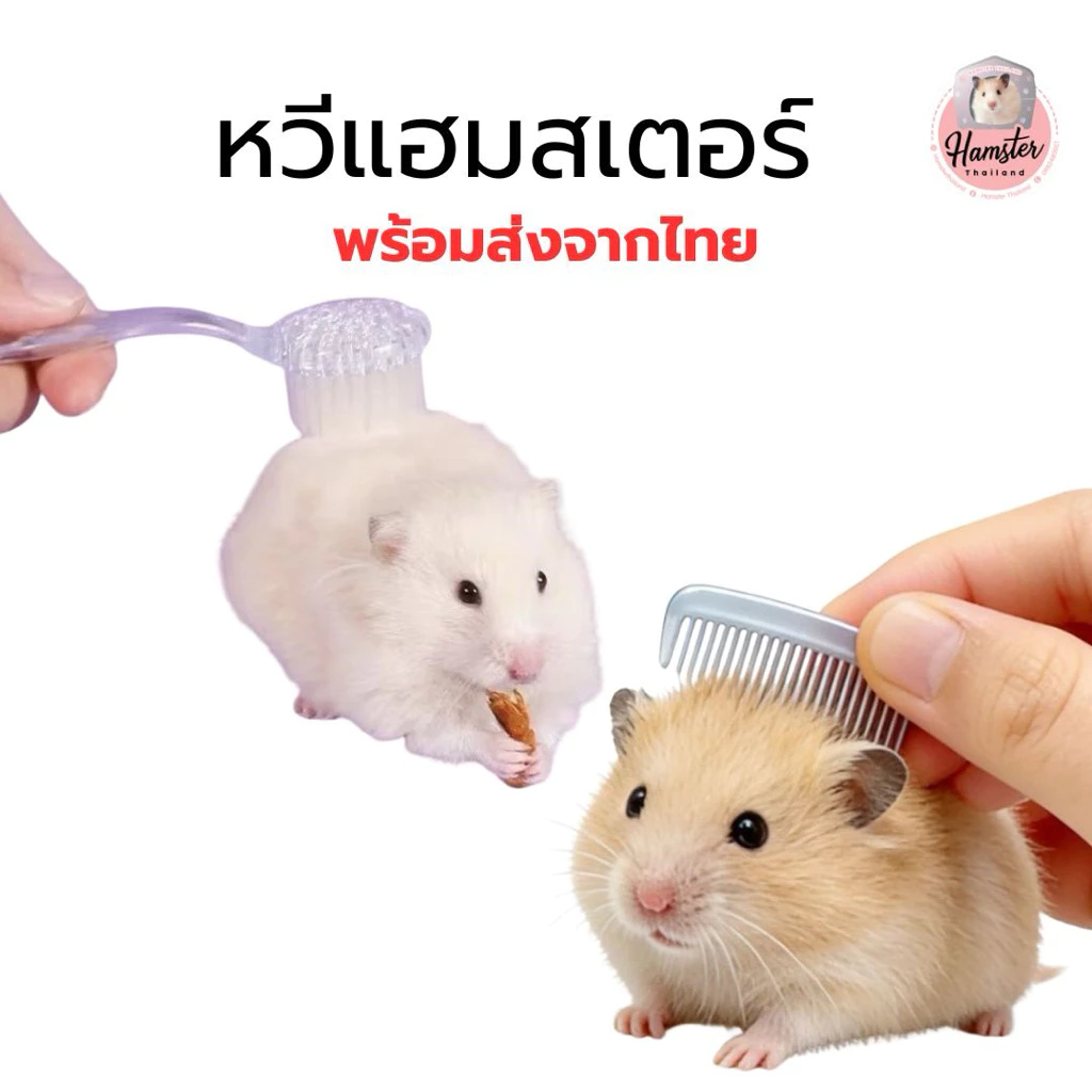 [Hamsterthailand] แปรงหวีขน แปรงขน อุปกรณ์สัตว์เลี้ยง ขนนุ่ม สำหรับสัตว์เลี้ยง แฮมสเตอร์