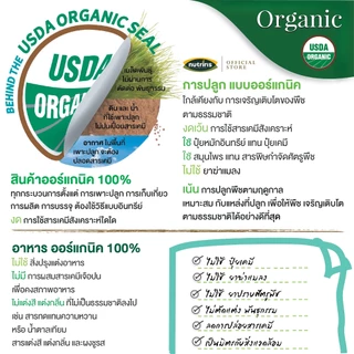 เมล็ดทานตะวัน ออร์แกนิค 300 กรัม Exp.1/2027 ปลอดสารเคมีตกค้าง มีอย เต็มเม็ด ( Organic Sunflower Kernels ) NUTRIRIS Brand