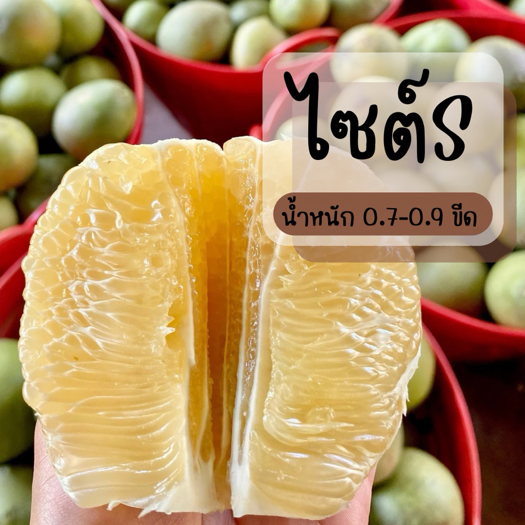 ส้มโอขาวใหญ่อัมพวา ตัดสดๆ   Set : 5 ลูก/ ไซต์ ขนาด S น้ำหนัก 0.7-0.9 ขีด