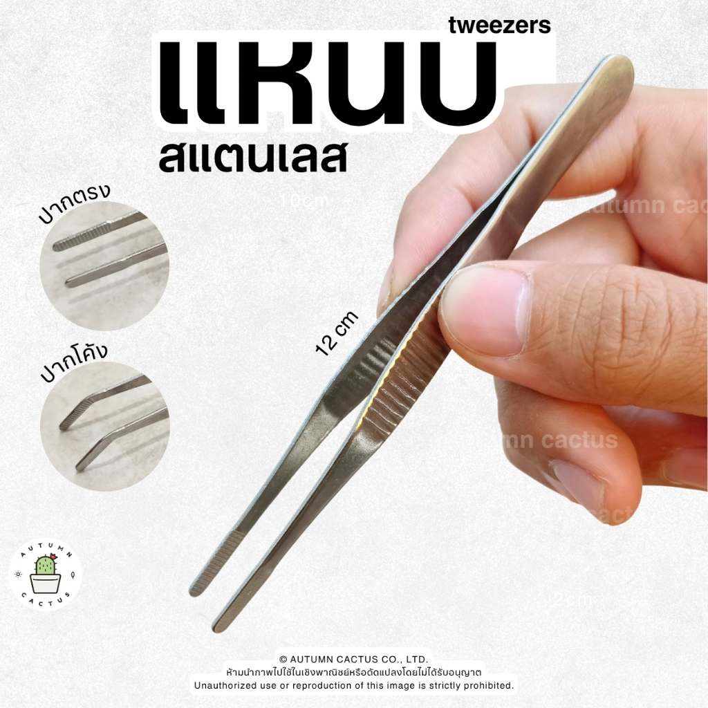 🌷Forcep ปากคีบ ฟอเซป แหนบ ผสมเกสร คีบต้นอ่อน สแตนเลส ขนาดพอดีมือ 12 cm.🌷