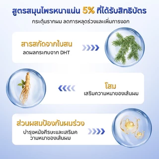 EHD แชมพูลดผมร่วง 2in1 เซ็ตคู่ 300ml+500ml ลดผมขาดหลุดร่วง คุมมัน บำรุงรากผม สำหรับคนนอนดึก หนังศีรษะมัน ผมบาง