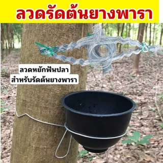 ลวดรัดต้นยางพารา ลวดหยักฟันปลาเบอร์ 12/13/14 มีทั้งความยาวปกติและความยาวพิเศษให้เลือก (มัดละ 100 เส้น)รับน้ำหนักได้ดี