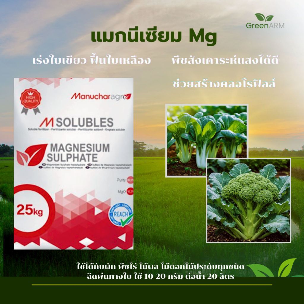 แม่ปุ๋ย MgSO4 _แมกนีเซียมซัลเฟต ปุ๋ยทางใบ เร่งเขียว