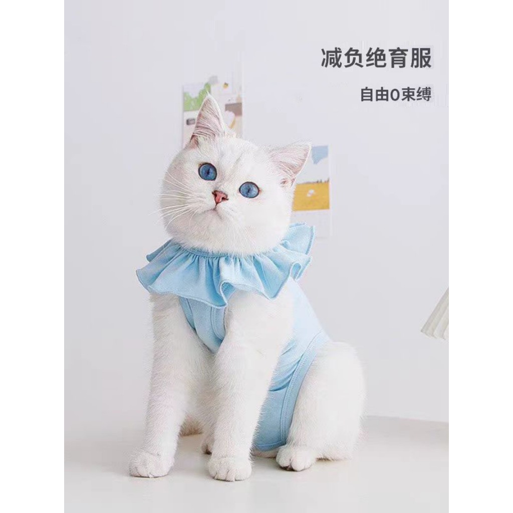 Kutiepom [ส่งจากไทย] ชุดหลังผ่าตัด น้องแมว ผ้ายืดแบบหนา Cat Recovery Suit with cotton