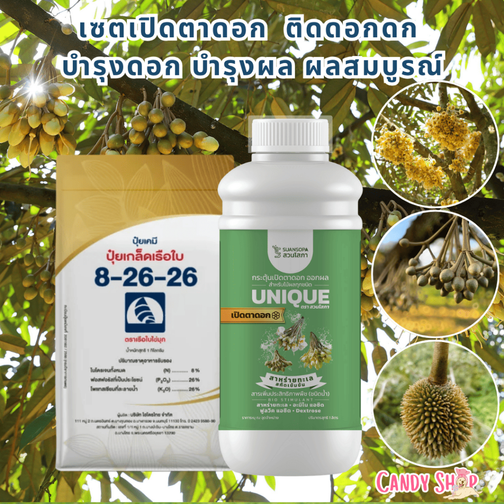 ยูนีคสาหร่ายทะเลเข้ม+เรือใบ 8-26-26 เซตเปิดตาดอก พืชทุกชนิด เร่งสะสมอาหารก่อนออกดอก ติดดอกดก บำรุงดอก บำรุงผล ผลสมบูรณ์