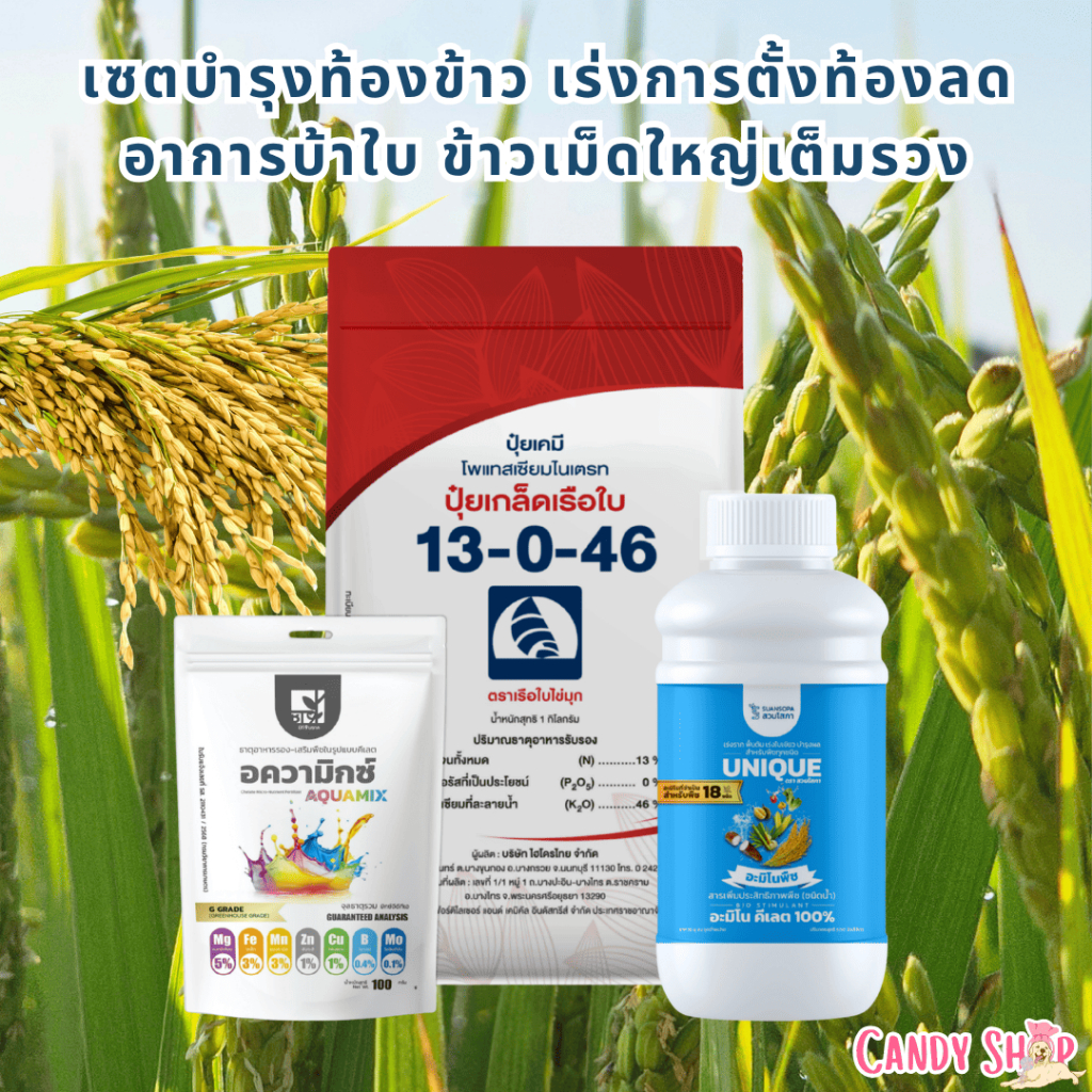 เซตบำรุงท้องข้าว เร่งการตั้งท้อง แก้ปัญหาใบเหลือง ข้าวไม่ร่วง เป็นลมเบ่ง เร่งการออกรวง ลดการบ้าใบ