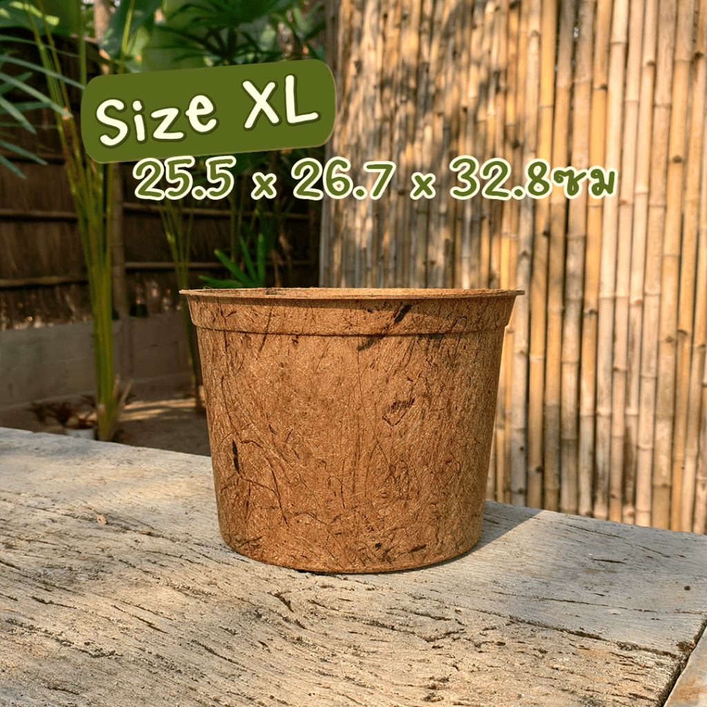 กระถาง ใยมะพร้าว ขนาดใหญ่พิเศษ [XL] 26.7 × 32.8 ซม. - Eco Friendly ย่อยสลายได้ เป็นมิตรต่อสิ่งแวดล้อม
