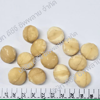แมคคาเดเมียดิบ Raw Macadamia