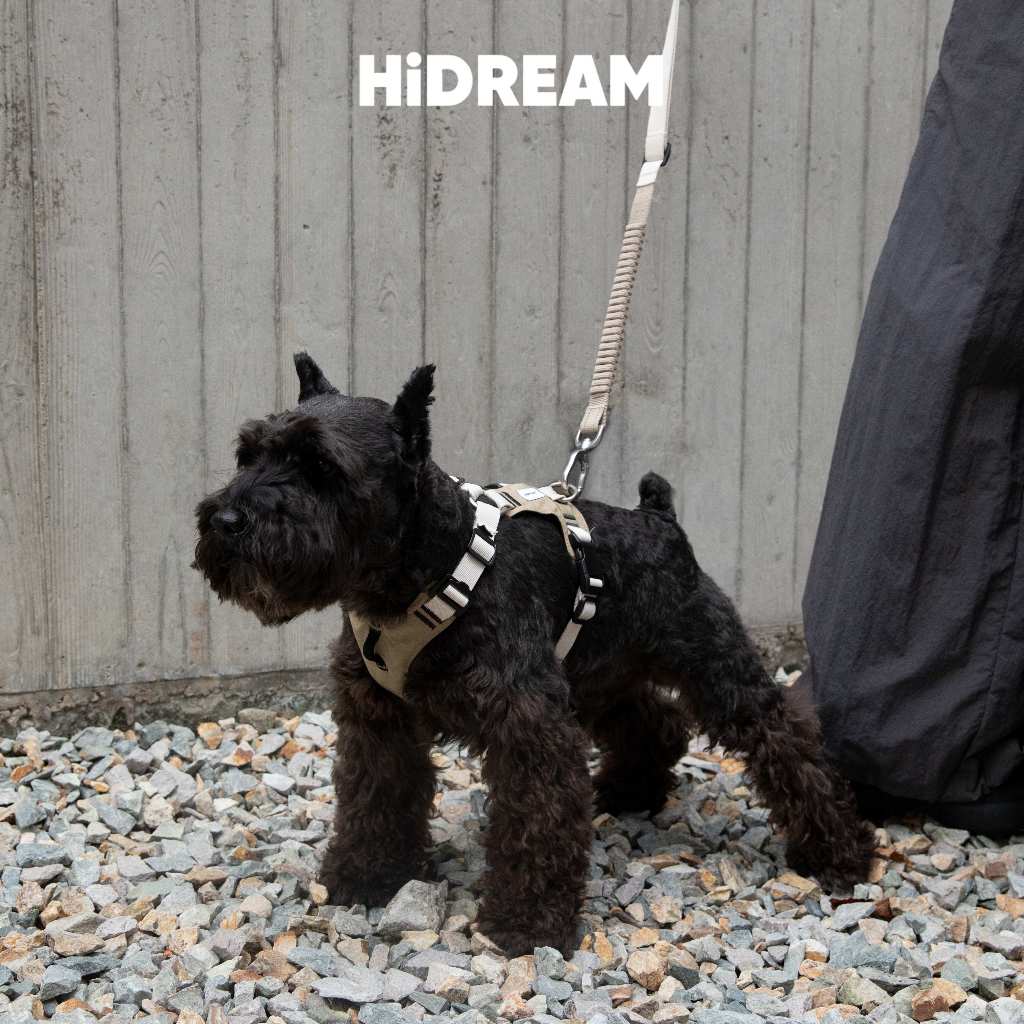 [ส่งด่วน] HiDREAM สายจูงสุนัข Dog Harness & Leash ลดแรงกระชาก ผ้าPolyester กันน้ำ แห้งไว ใส่ง่าย