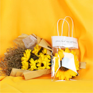ถุงโปร่งใสใส่ช่อดอกไม้ หูหิ้ว 10pcs แบบใส ตุ๊กตา ถุงของขวัญ ใส่ดอกไม้มอบให้ในวันแห่งความรัก BAIWANG SHOP