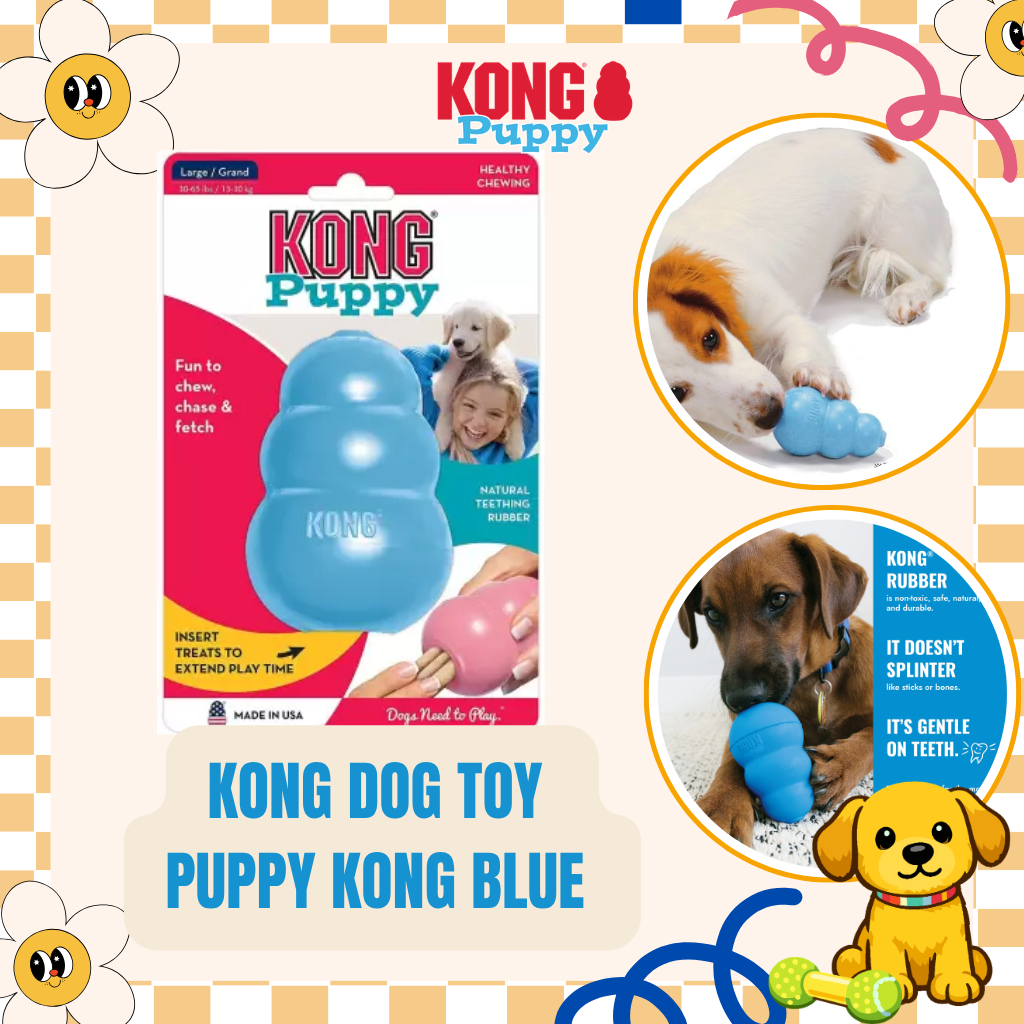 Kong Dog Toy Puppy Kong Blue Size M - 7 Solutions for Chewing, Teething, Separation Anxiety, Boredom