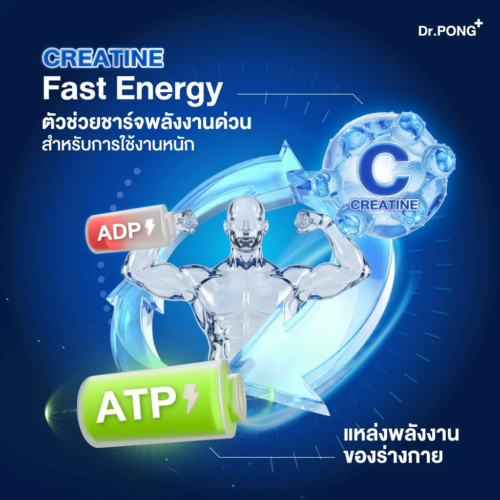 [ช้อปครบ รับฟรี] Dr.PONG MICRONIZED CREATINE MONOHYDRATE ครีเอทีน เพิ่มพลัง ฟิตหุ่น กล้ามเนื้อแน่น ฟื้นตัวไว thumbnail 4
