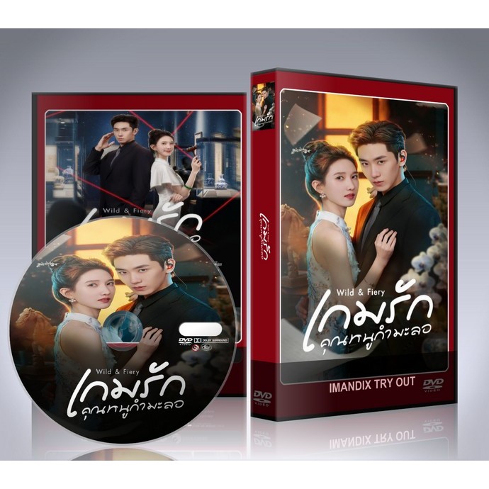 ซีรี่ย์จีน เกมรักคุณหนูกำมะลอ Wild & Fiery (2026) DVD 2 แผ่นจบ.