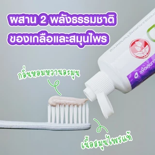 ดอกบัวคู่ ยาสีฟันสูตรเกลือสมุนไพร 150ก. (2ชิ้น)