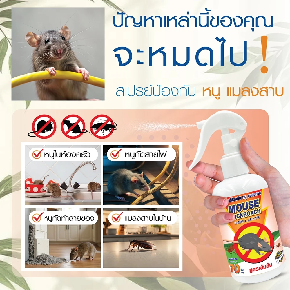 แมลงวัน ป้องกันแมลงวัน ไล่แมลงวัน thumbnail 3