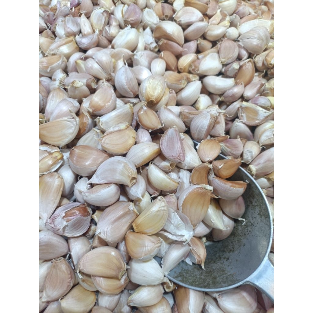 กระเทียมจีนกลีบใหญ่ สินค้าพร้อมส่งมีขนาด 1 กิโลกรัมกับ 500 กรัม