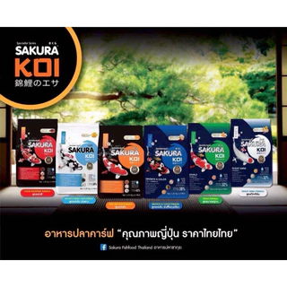 1.25 กก. อาหารปลาคาร์ฟ SAKURA KOI สำหรับการเจริญเติบโตและสีสันสดใส
