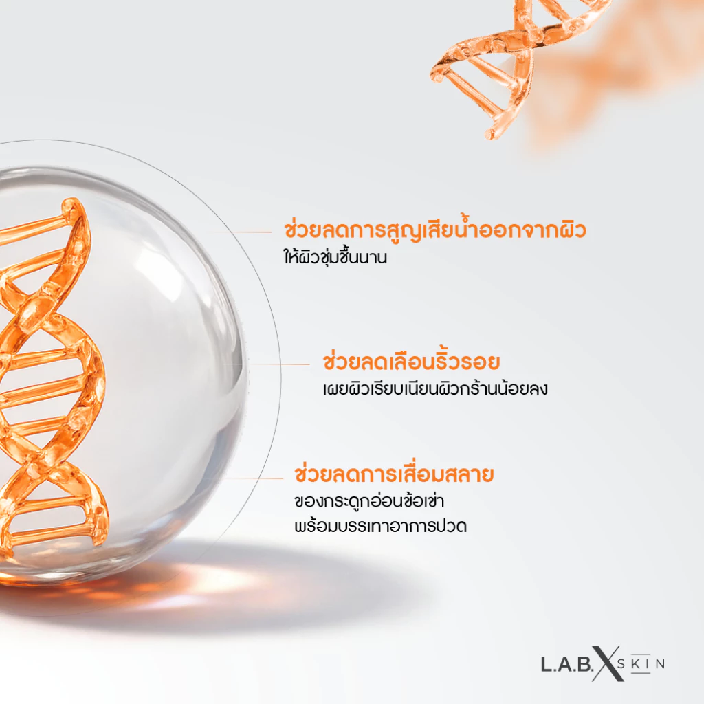 LABX ELAS X COLLAGEN DIPEPTIDE เซต 3 กระปุก thumbnail 4