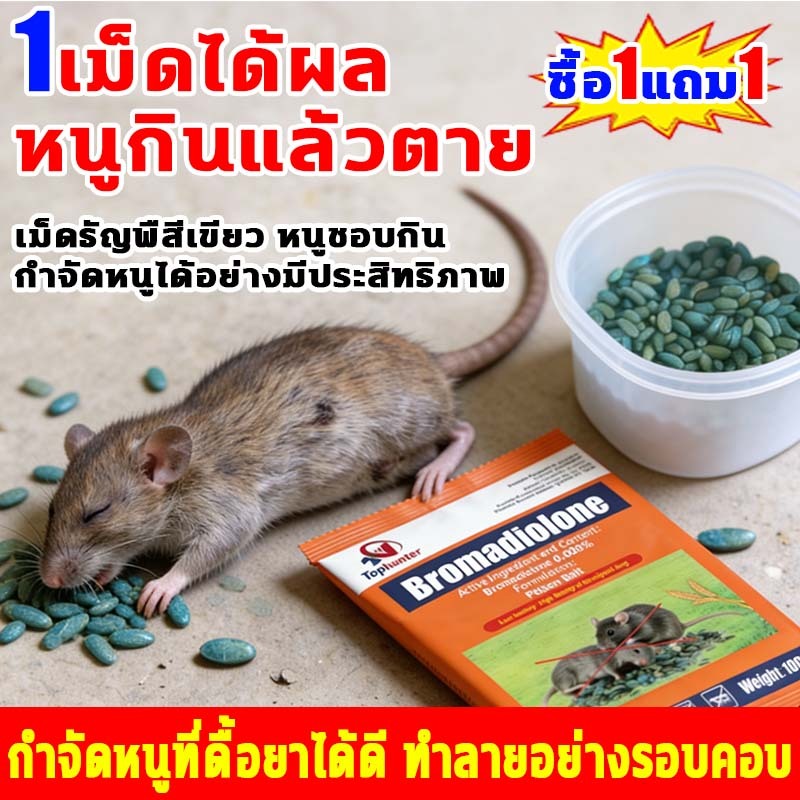 ปลอดหนูตลอดทั้งปี ยาเบื่อหนูตายแห้ง กินเพียงน้อยหนุก็ตาย ขจัดหนูออกจากบ้านและพื้นที่อย่างถาวร ยาฆ่าหนู กำจัดหนูอย่างถา
