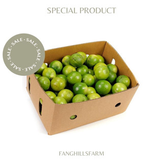 มะนาวไร้เมล็ด 1-5 กิโลกรัม [สินค้าเกษตรชุมชน] ✅ มีการรับประก…