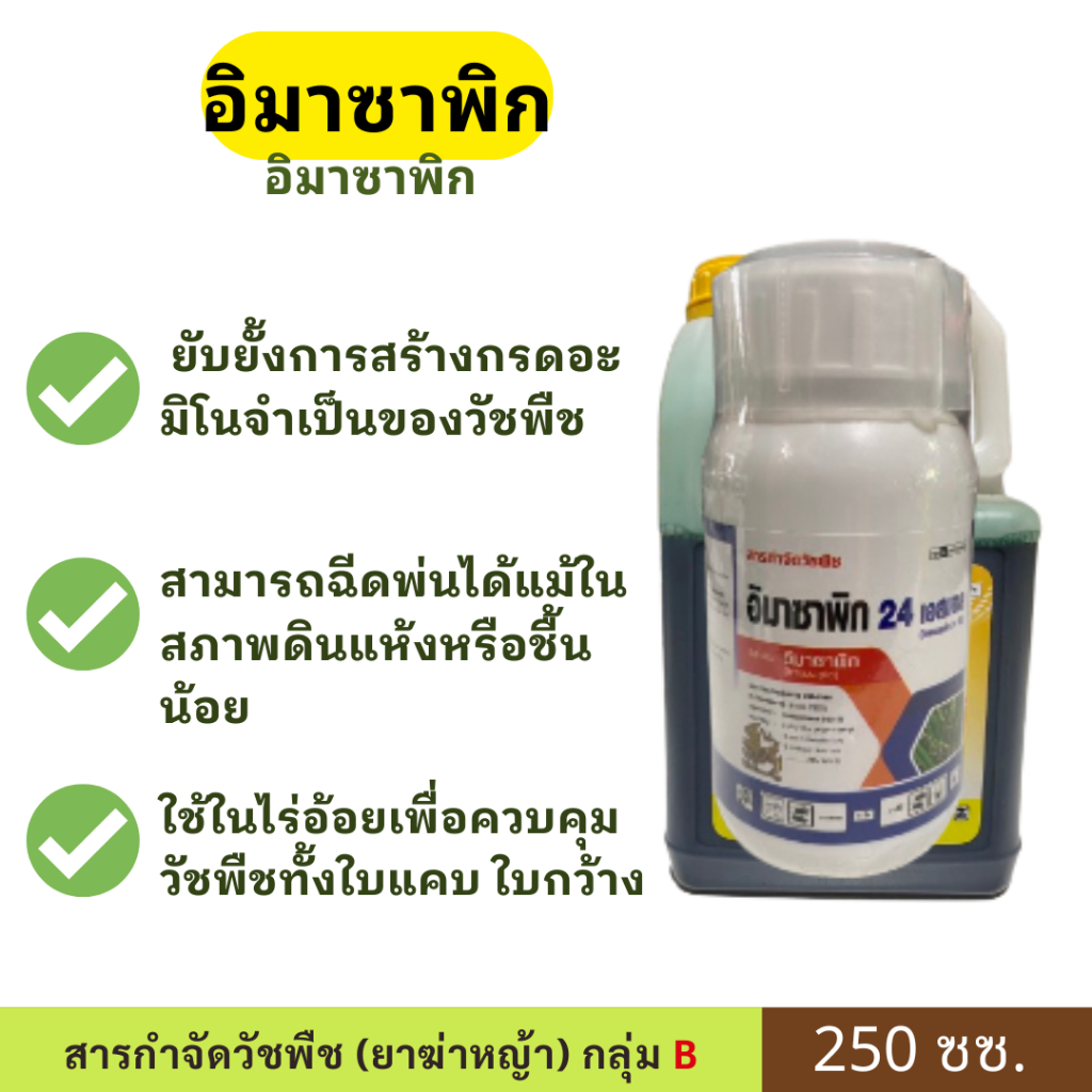 อิมาซาพิก ขนาด 250 ซซ. ตราสิงห์ไทย เป็นสารกำจัดวัชพืชชนิดดูดซึมที่นิยมใช้ในอ้อย
