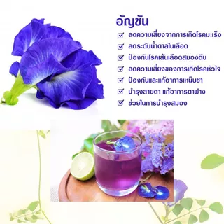 ดอกอัญชันอบแห้ง อัญชันตากแห้ง ปลอดสารพิษ ขนาด 500 กรัม 1 กิโลกรัม