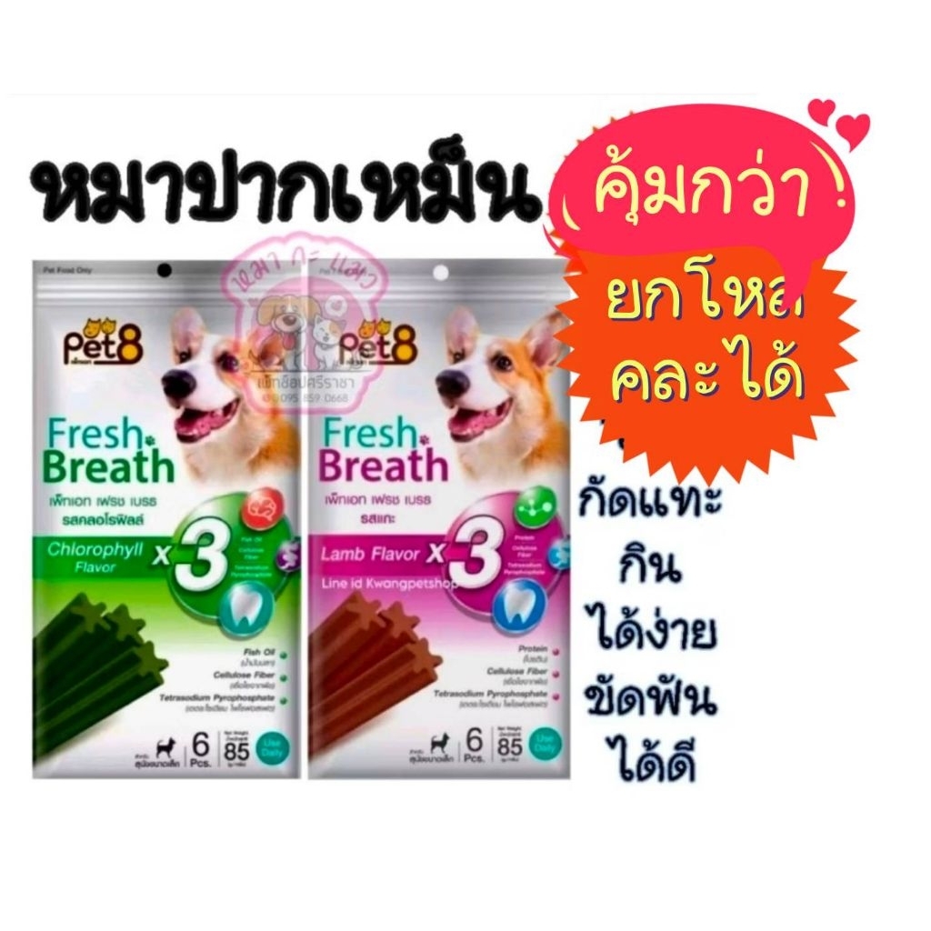 ยกโหล 12 ซอง Pet8 Fresh Breath3,6 ชิ้น ขนมขัดฟันXขนมขัดฟันสุนัขรสแกะและคลอโรฟิลล์สุนัขเล็ก สุนัขใหญ่