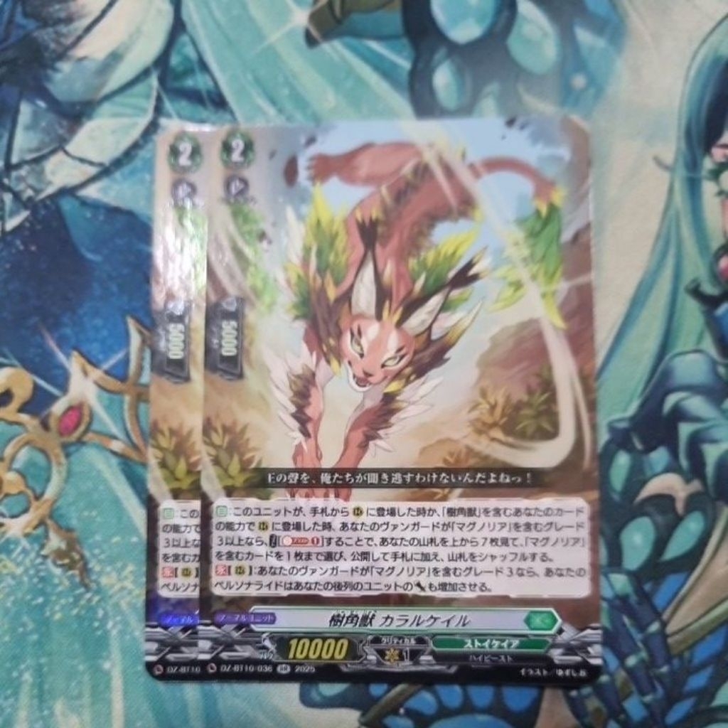 Vanguard jp DZ-BT10/036