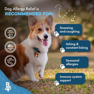Allergy Relief & Immune Support กระตุ้นภมูิต้านทาน สำหรับแมวและสุนัข