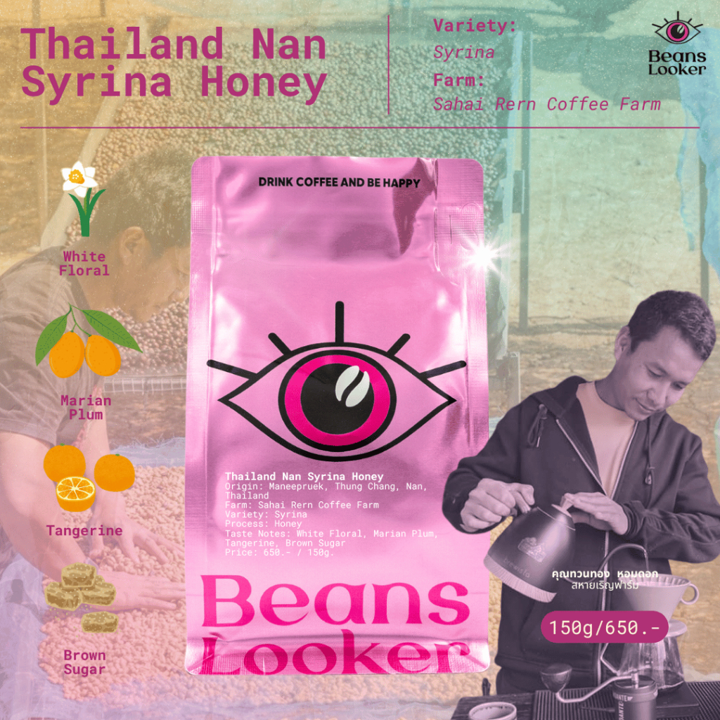 Thailand Nan Syrina Honey  Sahai Rern Coffee Farm