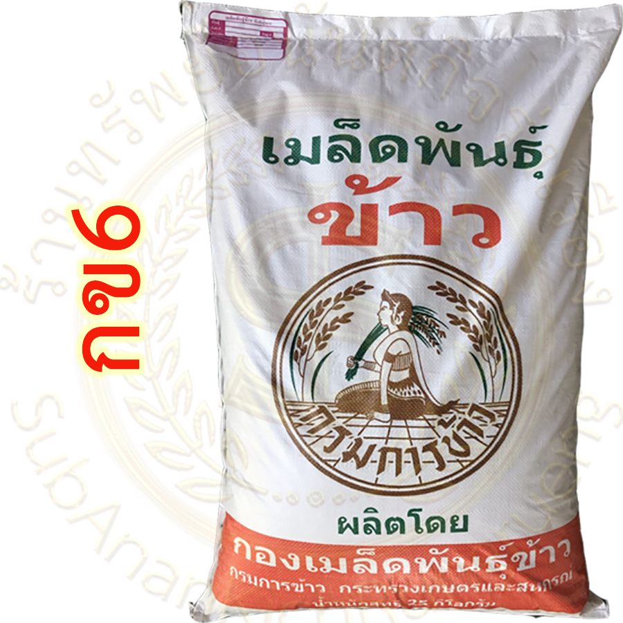 เมล็ดพันธุ์ข้าวเหนียว กข6 กรมการข้าว (ใช้สำหรับปลูกนาปี 2569)