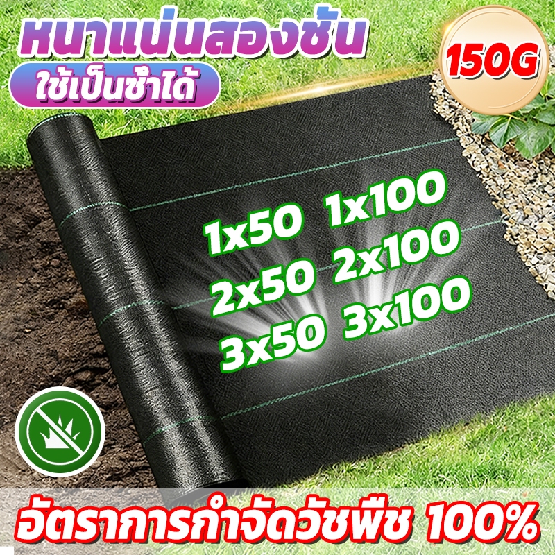 (หนาขึ้น)พลาสติกคลุมดิน ผ้าคลุมหญ้า พลาสติกคลุมวัชพืช พลาสติกเกรดส่งออก ผสมUV ฆ่าหญ้า 50/100 เมตร