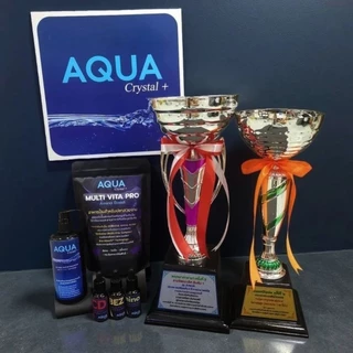 ชุดเริ่มต้น สำหรับปลาบอลลูน Zebra / Marble สายประกวดจากบ้านรางวัล คุณภาพมาตรฐานส่งออก