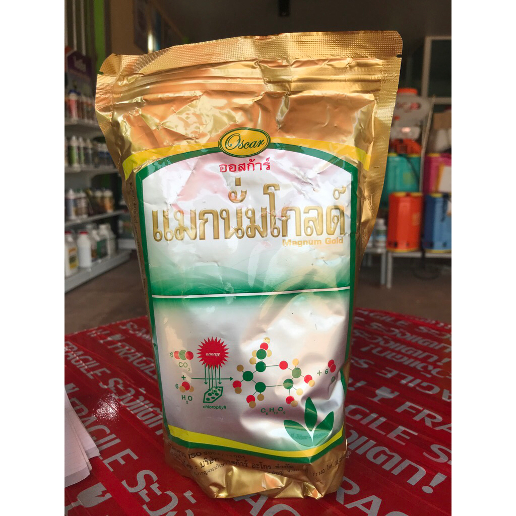 แมกนั่มโกลด์ ออสก้าร์