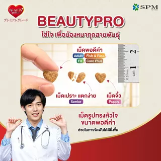 BeautyPro อาหารเม็ดสุนัขพรีเมียม สูตร Senior สูงวัยอายุ 7-10 ปี+ ขนาด 4.7 Kg. ปรับสมดุลทางเดินอาหาร
