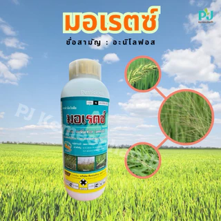 มอเรตซ์ #อะนิโลฟอส30% สารกำจัดหญ้าดอกขาว หญ้าข้าวนก หญ้านกสีชมพู ผักปอดนา กกขนาก