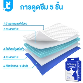 [ส่งฟรี🇹🇭] CleverPet แผ่นรองฉี่สุนัข แผ่นรองฉี่แมว Dog Training Pad