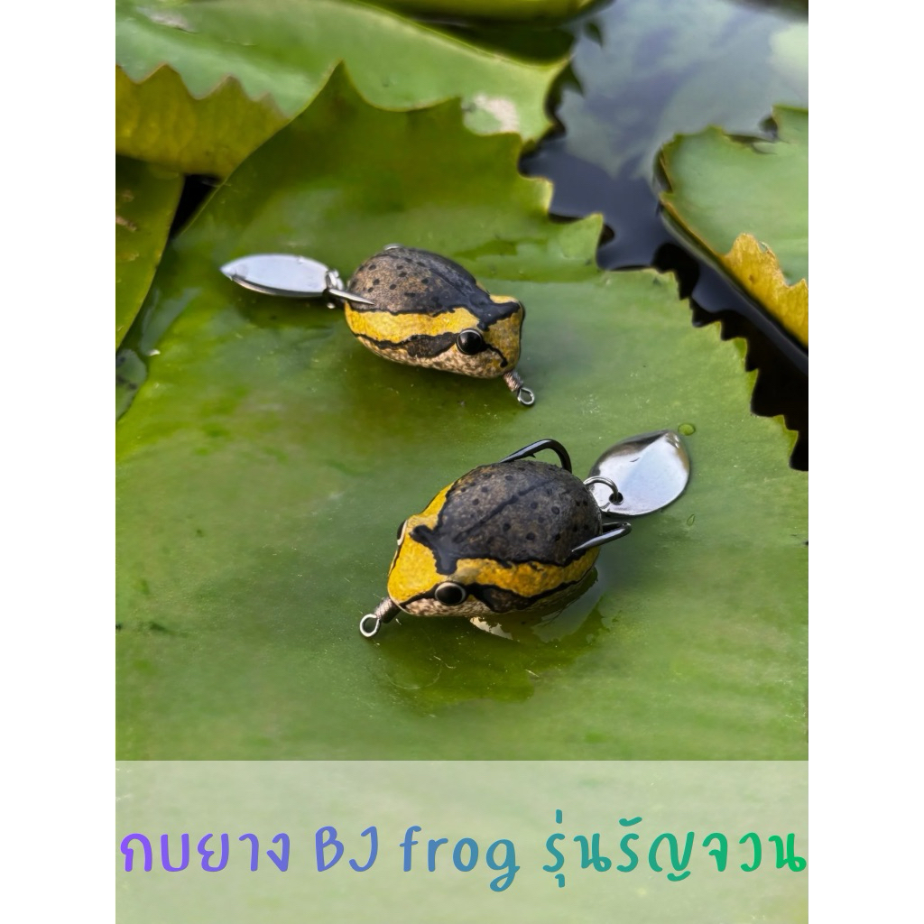 กบยางBJ อึ่งยางเทอร์โบ ขนาด 3.5 cm. เบ็ด2ทาง 1/O น้ำหนัก 8 กรัม