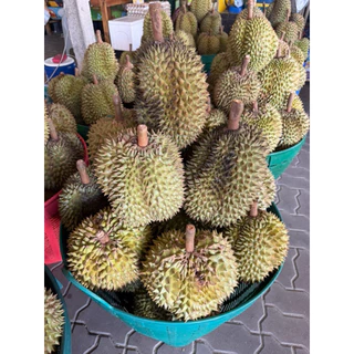 หมอนทองระยอง เนื้อเทพ เนื้อสวยพรีเมี่ยม เน้นเนือ ไม่เน้นทรง 1ลูก3-4พู